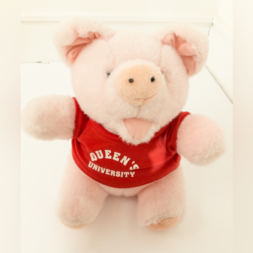 Queens University pig stuffed toy